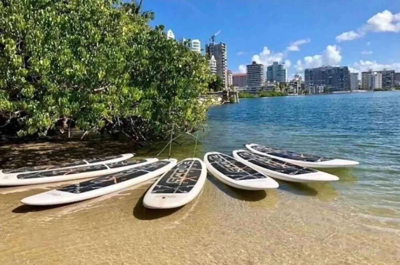 V7 Pr Rental Cozy Room & Great Location San Juan 0*,  Puerto Rico